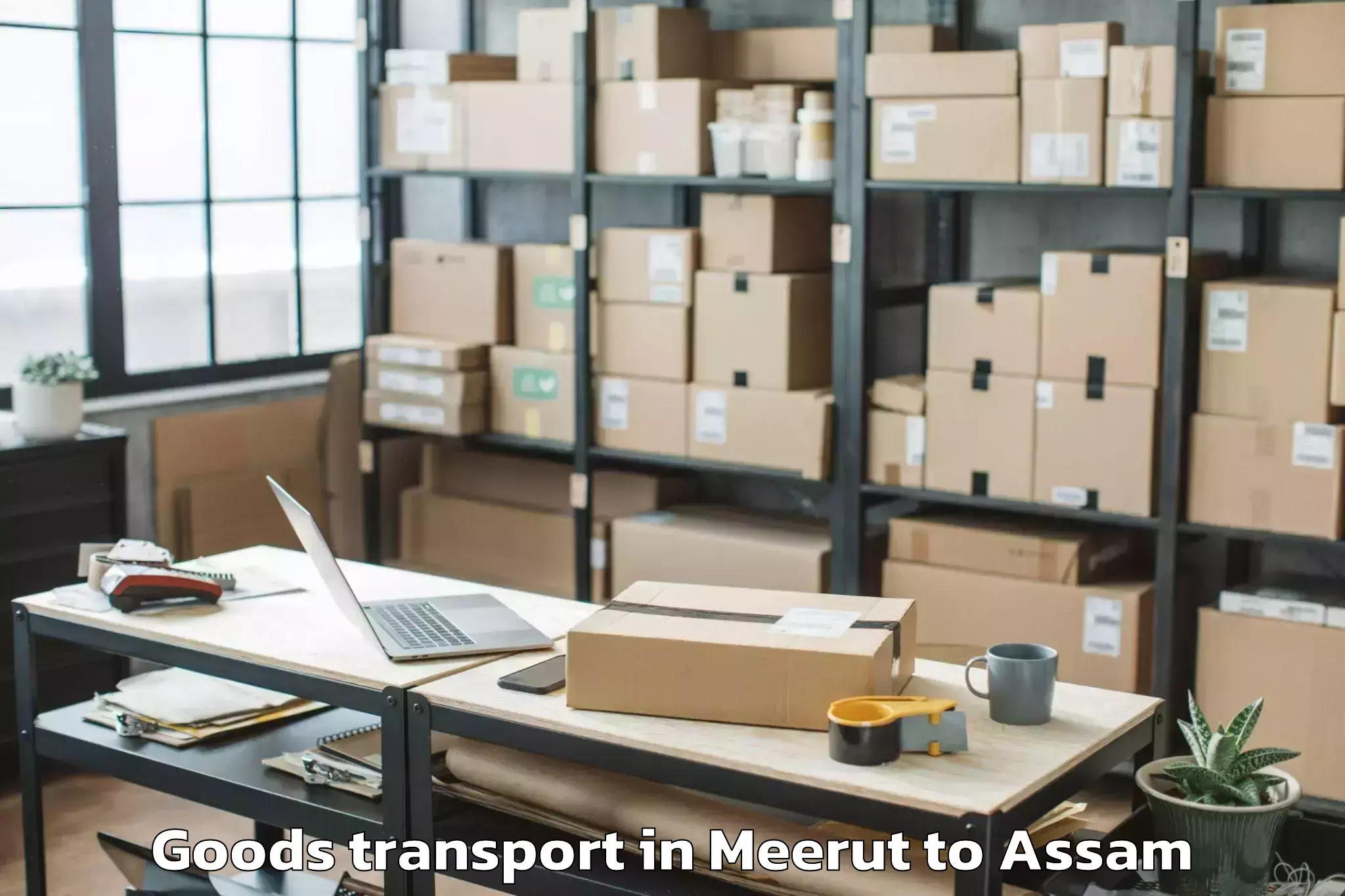 Reliable Meerut to National Law University And Ju Goods Transport